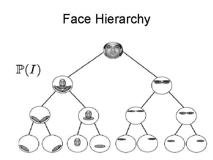 Face Hierarchy 