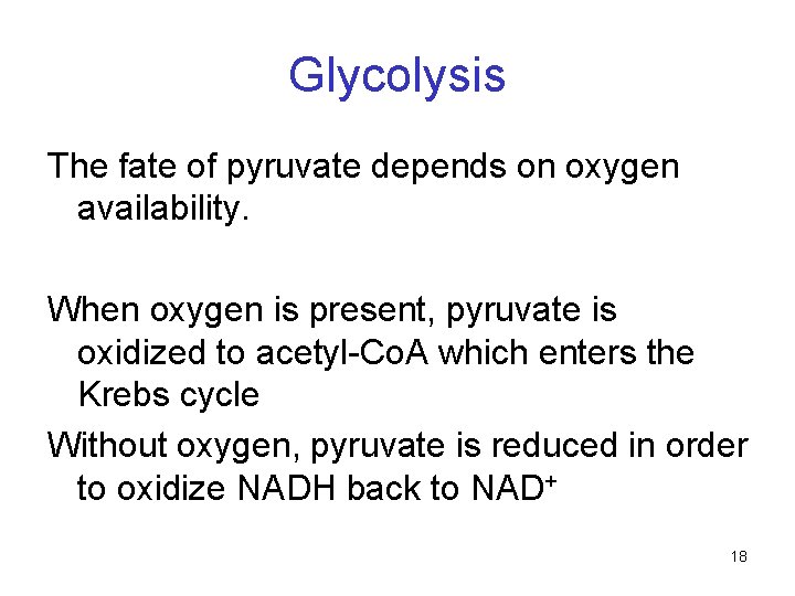 Glycolysis The fate of pyruvate depends on oxygen availability. When oxygen is present, pyruvate Glycolysis The fate of pyruvate depends on oxygen availability. When oxygen is present, pyruvate