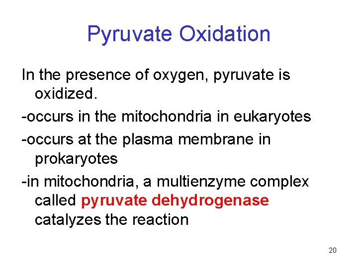 Pyruvate Oxidation In the presence of oxygen, pyruvate is oxidized. -occurs in the mitochondria Pyruvate Oxidation In the presence of oxygen, pyruvate is oxidized. -occurs in the mitochondria