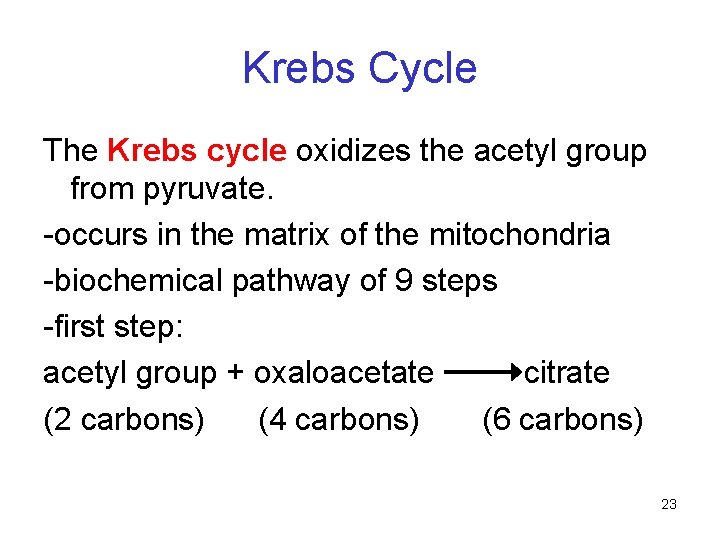 Krebs Cycle The Krebs cycle oxidizes the acetyl group from pyruvate. -occurs in the Krebs Cycle The Krebs cycle oxidizes the acetyl group from pyruvate. -occurs in the