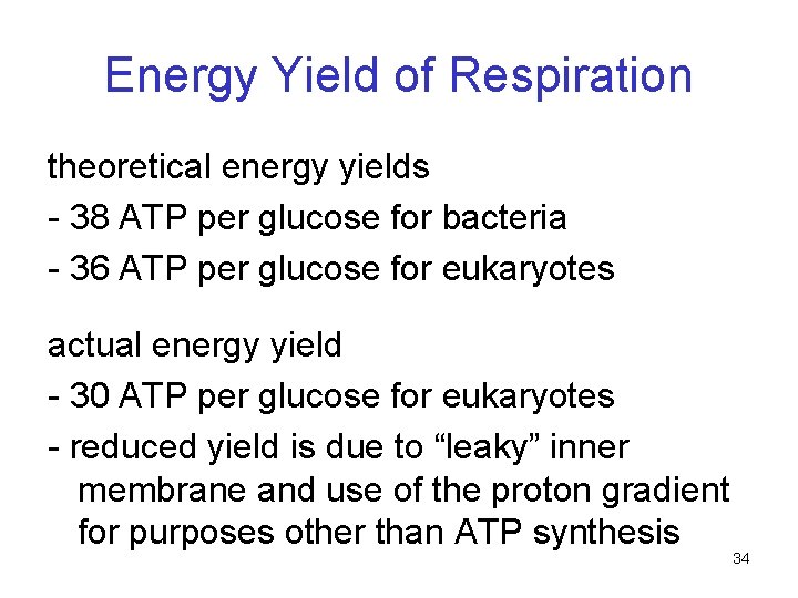 Energy Yield of Respiration theoretical energy yields - 38 ATP per glucose for bacteria Energy Yield of Respiration theoretical energy yields - 38 ATP per glucose for bacteria