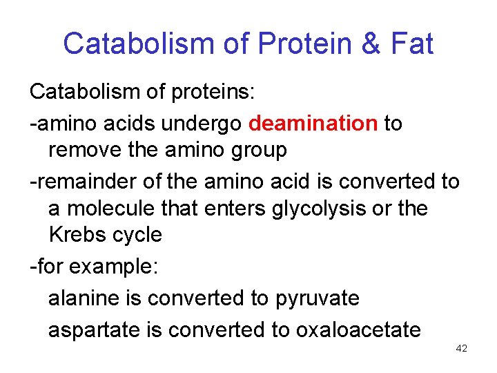 Catabolism of Protein & Fat Catabolism of proteins: -amino acids undergo deamination to remove Catabolism of Protein & Fat Catabolism of proteins: -amino acids undergo deamination to remove