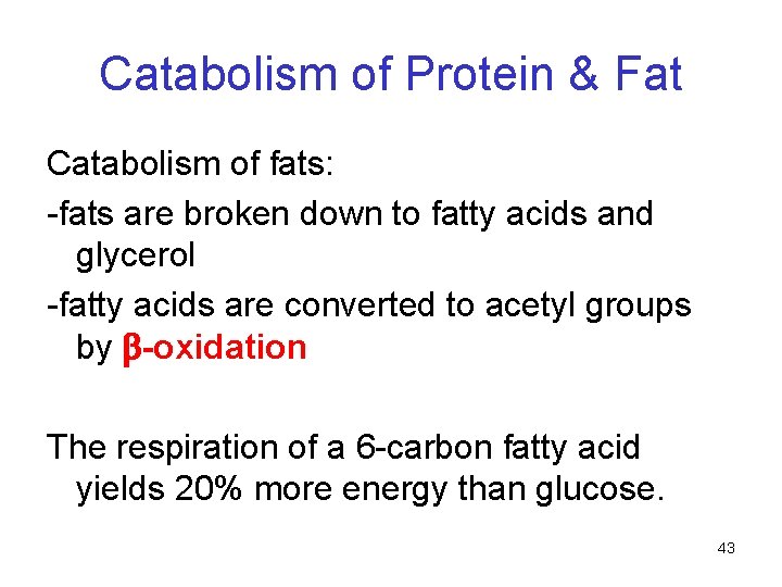 Catabolism of Protein & Fat Catabolism of fats: -fats are broken down to fatty Catabolism of Protein & Fat Catabolism of fats: -fats are broken down to fatty