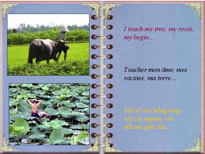 I touch my tree, my roots, my begin… Toucher mon âme, mes racines, ma