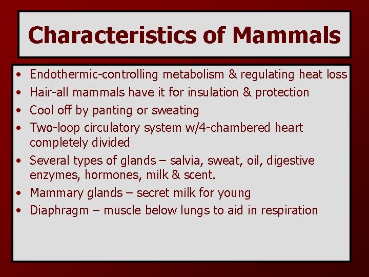 Characteristics of Mammals • • Endothermic-controlling metabolism & regulating heat loss Hair-all mammals have