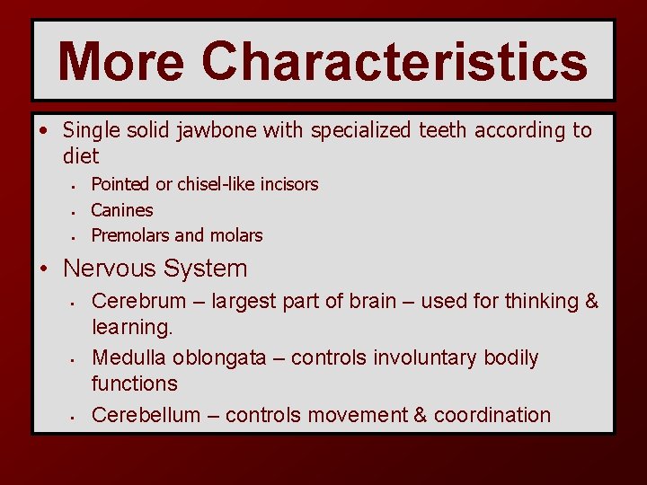 More Characteristics • Single solid jawbone with specialized teeth according to diet • •