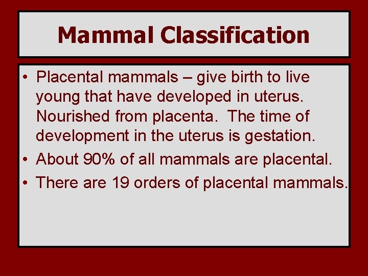 Mammal Classification • Placental mammals – give birth to live young that have developed