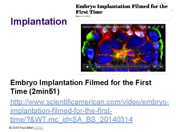 Implantation Embryo Implantation Filmed for the First Time (2 min 51) http: //www. scientificamerican.