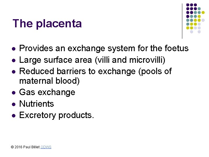 The placenta l l l Provides an exchange system for the foetus Large surface