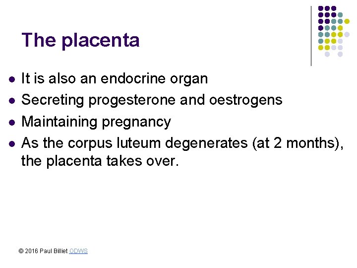 The placenta l l It is also an endocrine organ Secreting progesterone and oestrogens
