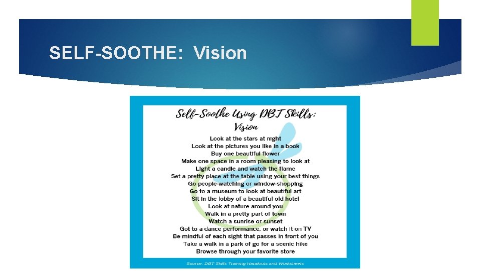 SELF-SOOTHE: Vision 