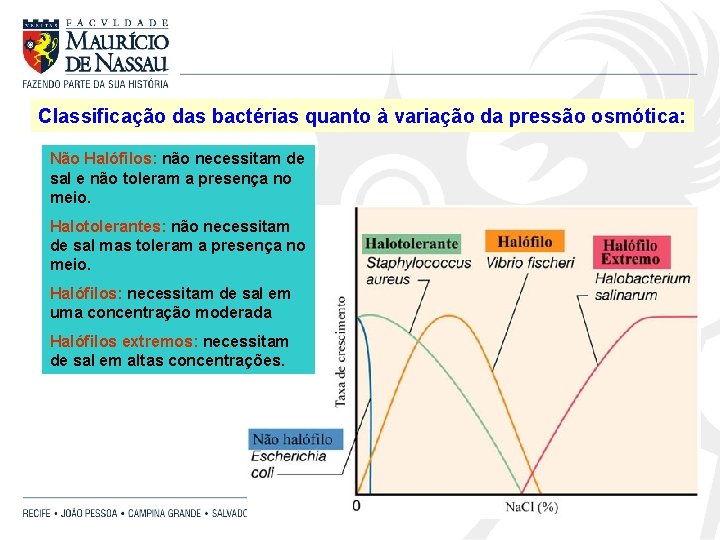Classificação das bactérias quanto à variação da pressão osmótica: Não Halófilos: não necessitam de