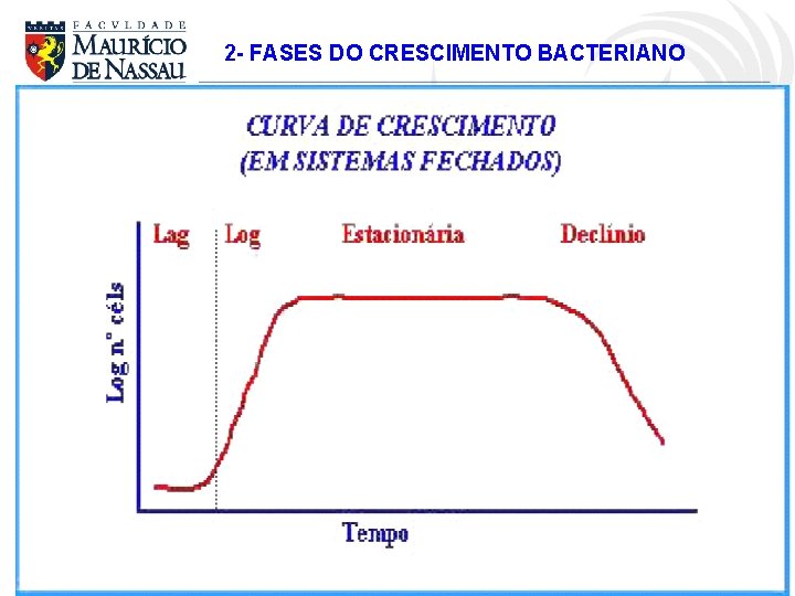 2 - FASES DO CRESCIMENTO BACTERIANO 