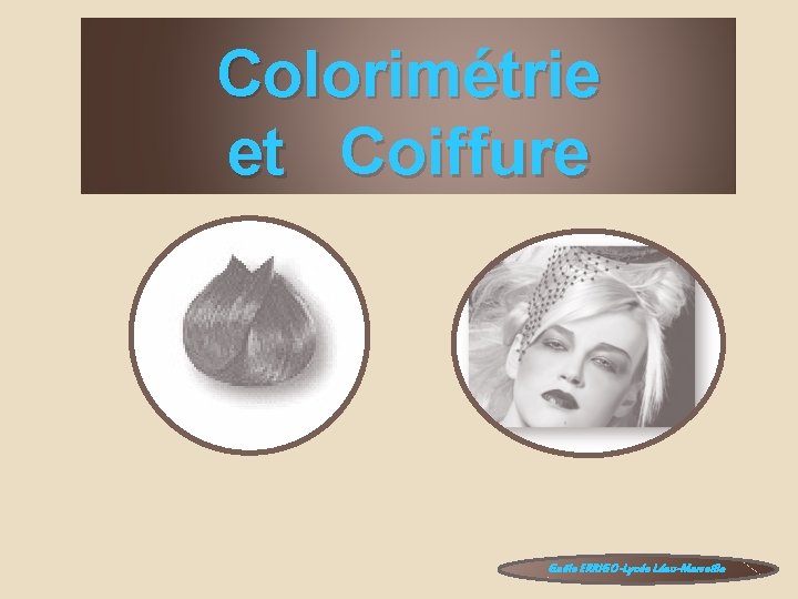 Colorimétrie et Coiffure Gaële ERRIGO-Lycée Léau-Marseille 
