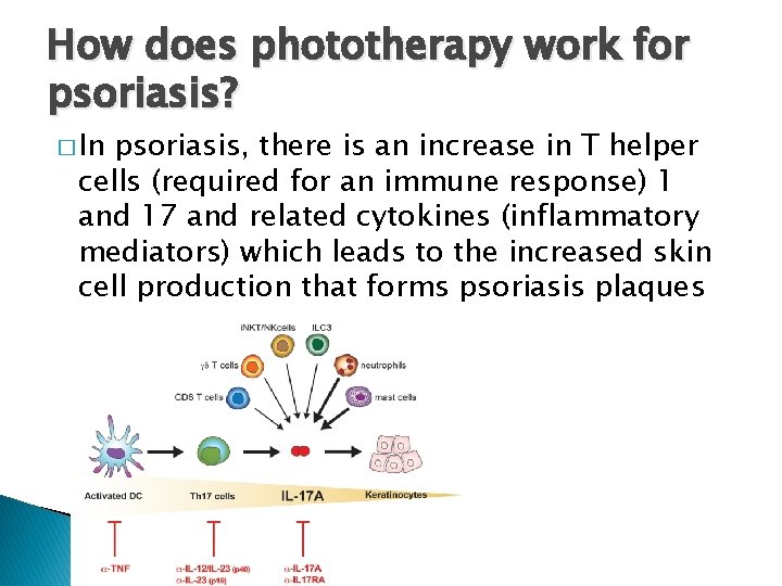 How does phototherapy work for psoriasis? � In psoriasis, there is an increase in