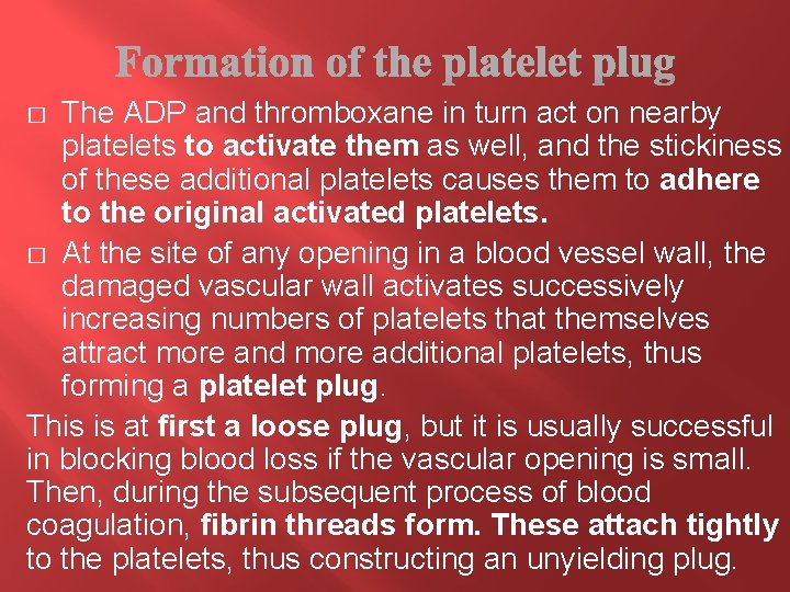 The ADP and thromboxane in turn act on nearby platelets to activate them as