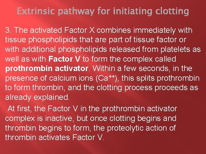 3. The activated Factor X combines immediately with tissue phospholipids that are part of
