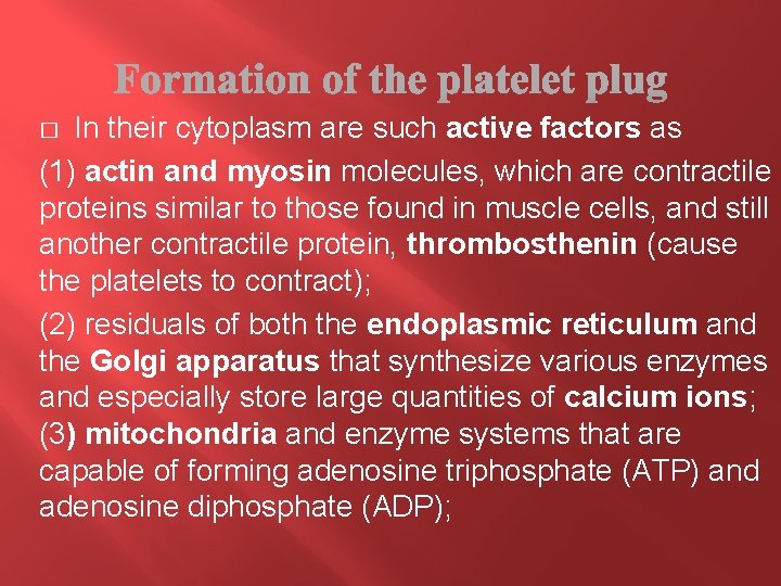 In their cytoplasm are such active factors as (1) actin and myosin molecules, which