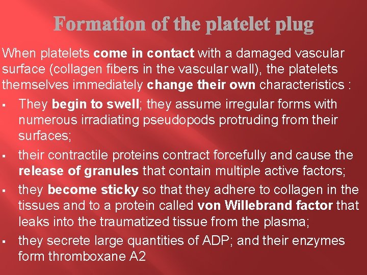 When platelets come in contact with a damaged vascular surface (collagen ﬁbers in the