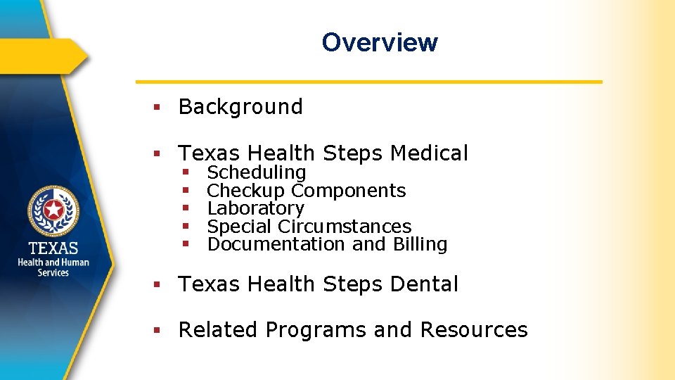 Overview § Background § Texas Health Steps Medical § Scheduling § Checkup Components §