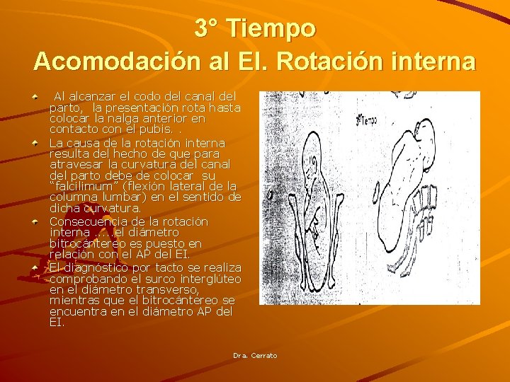 3° Tiempo Acomodación al EI. Rotación interna Al alcanzar el codo del canal del