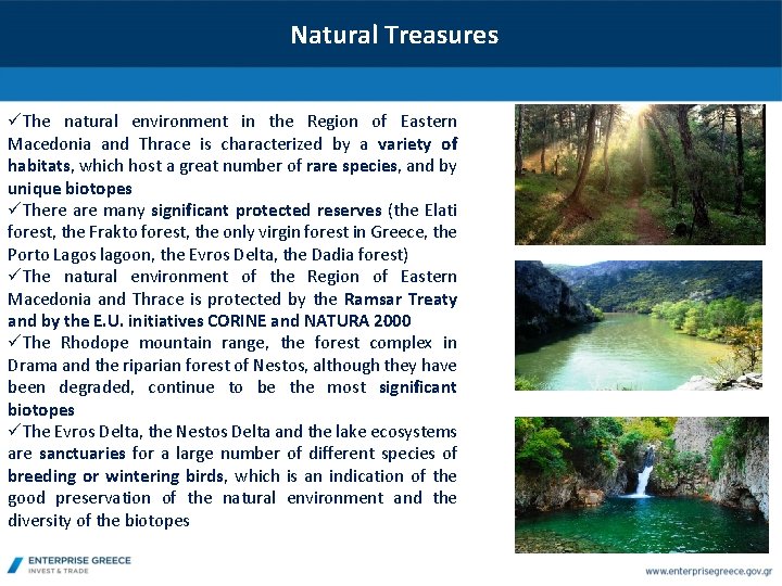 Natural Treasures üThe natural environment in the Region of Eastern Macedonia and Thrace is