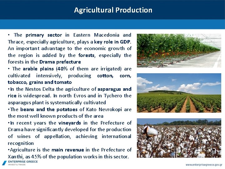 Agricultural Production • The primary sector in Eastern Macedonia and Thrace, especially agriculture, plays