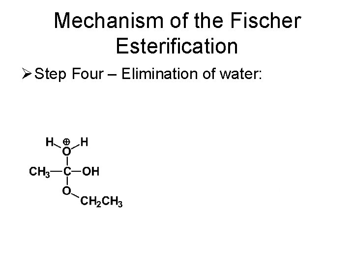 Mechanism of the Fischer Esterification Ø Step Four – Elimination of water: 