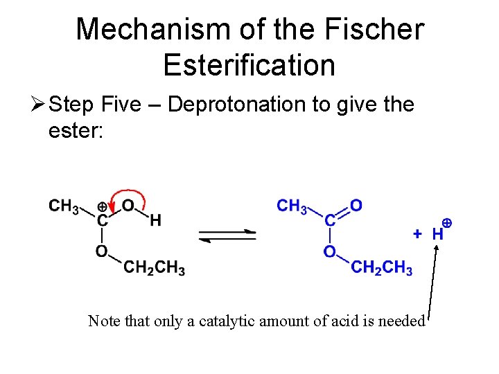 Mechanism of the Fischer Esterification Ø Step Five – Deprotonation to give the ester: