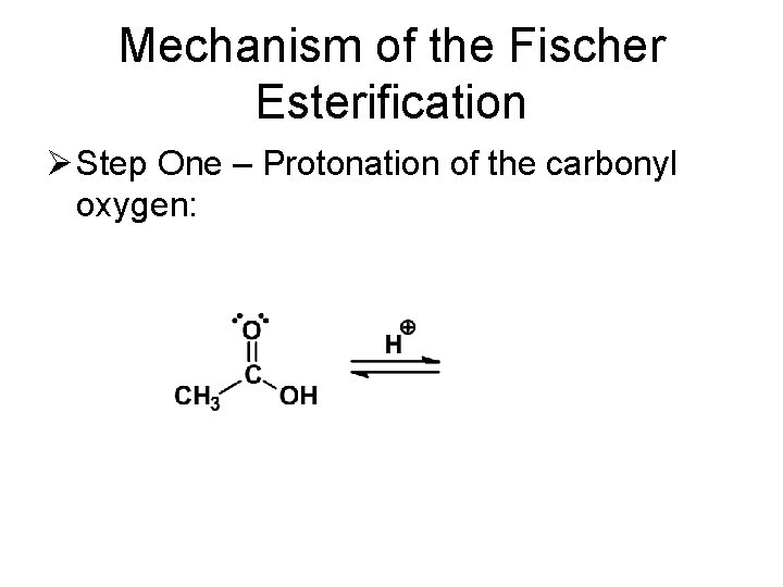 Mechanism of the Fischer Esterification Ø Step One – Protonation of the carbonyl oxygen: