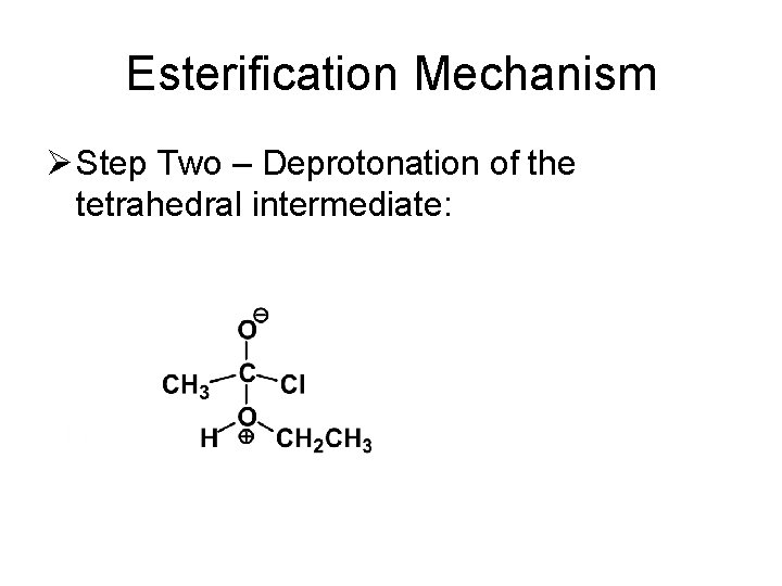 Esterification Mechanism Ø Step Two – Deprotonation of the tetrahedral intermediate: 