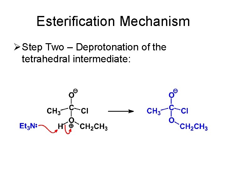 Esterification Mechanism Ø Step Two – Deprotonation of the tetrahedral intermediate: 