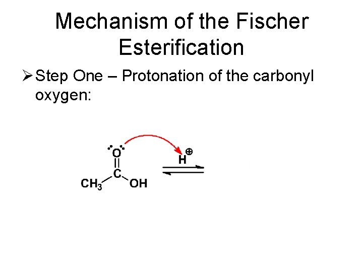 Mechanism of the Fischer Esterification Ø Step One – Protonation of the carbonyl oxygen: