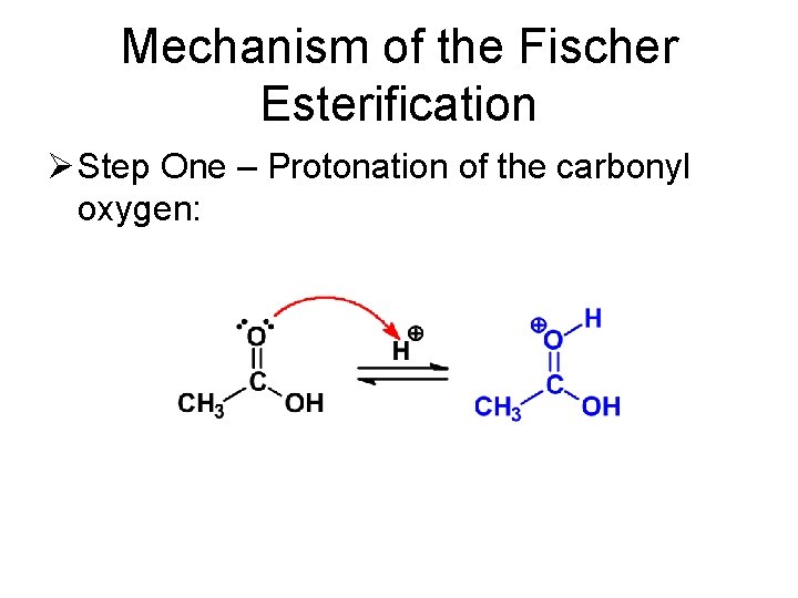 Mechanism of the Fischer Esterification Ø Step One – Protonation of the carbonyl oxygen: