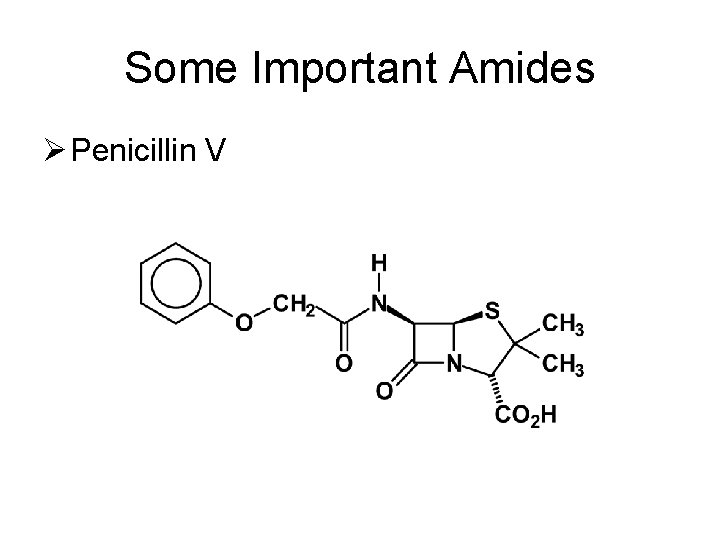 Some Important Amides Ø Penicillin V 