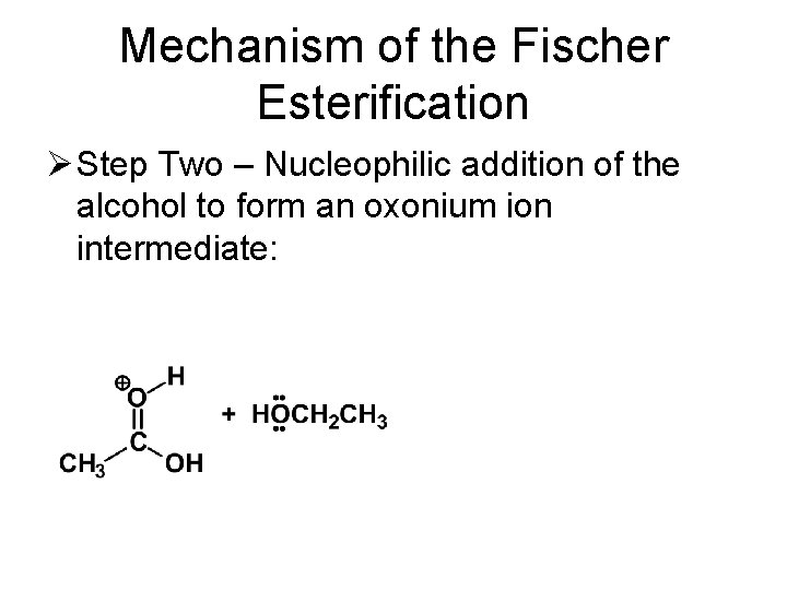 Mechanism of the Fischer Esterification Ø Step Two – Nucleophilic addition of the alcohol