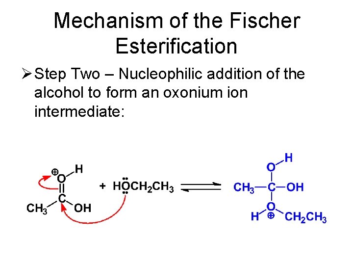 Mechanism of the Fischer Esterification Ø Step Two – Nucleophilic addition of the alcohol