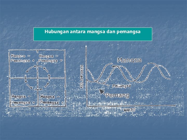 Hubungan antara mangsa dan pemangsa 