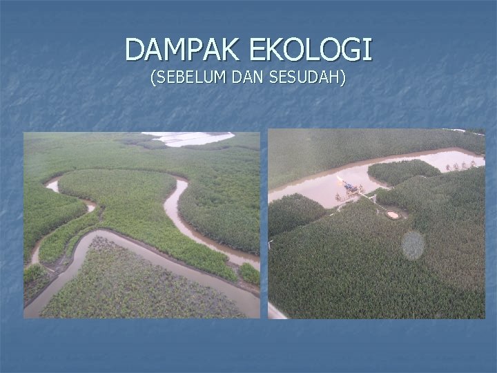 DAMPAK EKOLOGI (SEBELUM DAN SESUDAH) 