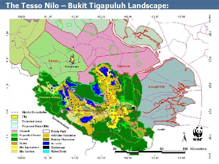 The Tesso Nilo – Bukit Tigapuluh Landscape: 