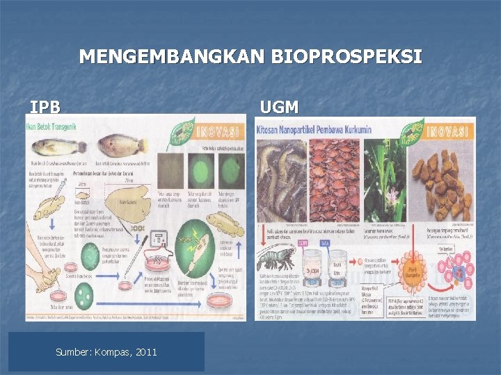 MENGEMBANGKAN BIOPROSPEKSI IPB Sumber: Kompas, 2011 UGM 