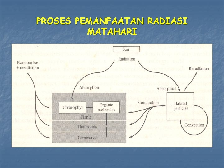 PROSES PEMANFAATAN RADIASI MATAHARI 