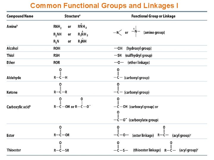 Common Functional Groups and Linkages I 