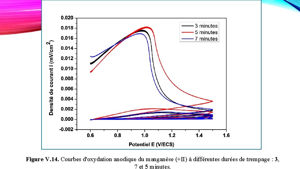 Figure V. 14. Courbes d'oxydation anodique du manganèse (+II) à différentes durées de trempage