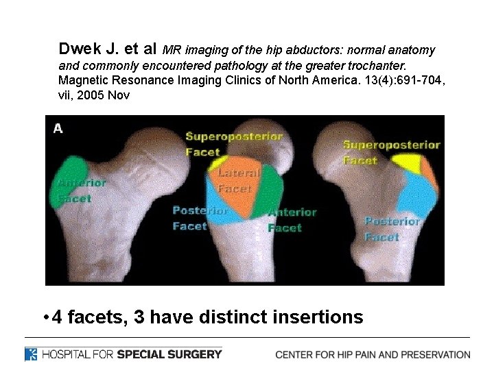 Dwek J. et al MR imaging of the hip abductors: normal anatomy and commonly