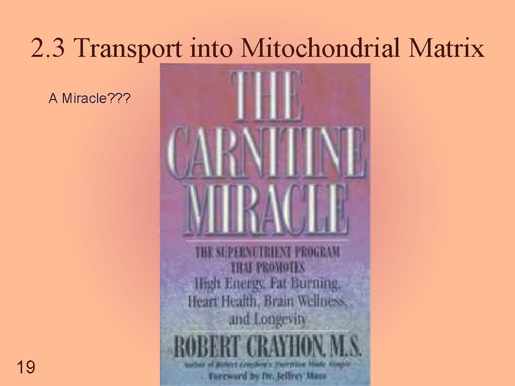 2. 3 Transport into Mitochondrial Matrix A Miracle? ? ? 19 
