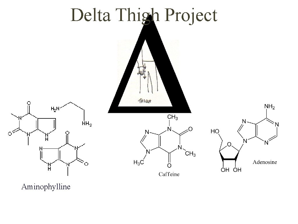 Delta Thigh Project Aminophylline 