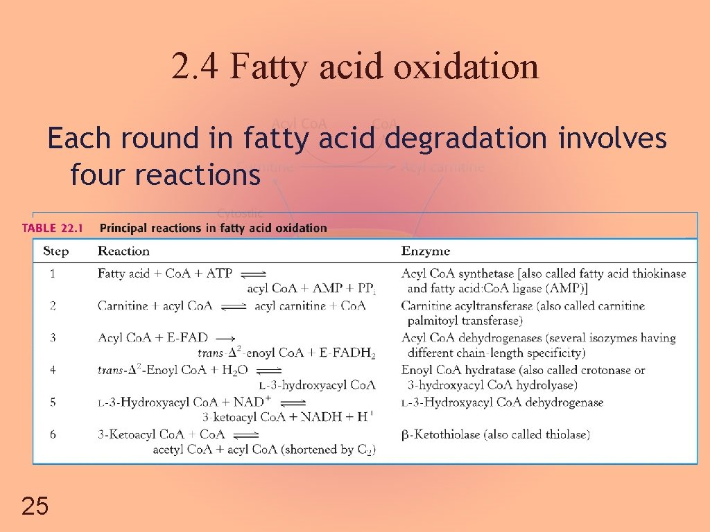 2. 4 Fatty acid oxidation Each round in fatty acid degradation involves four reactions