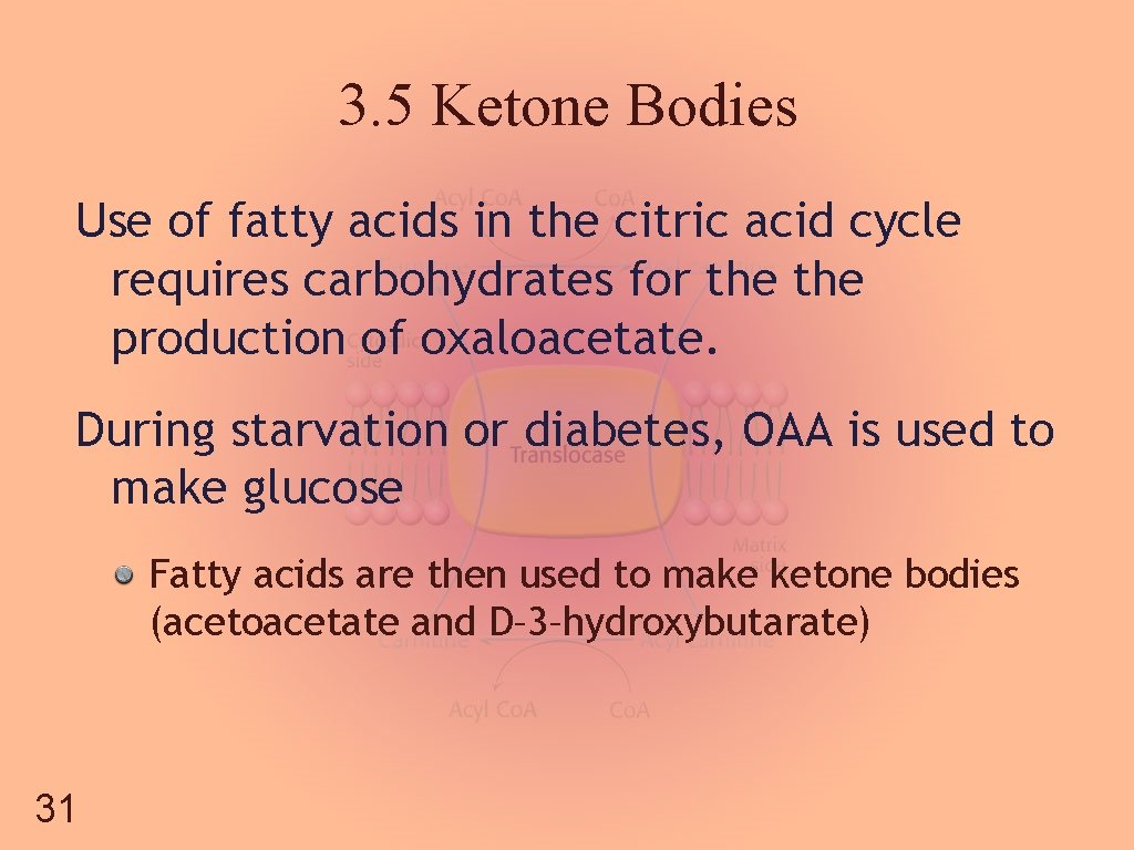 3. 5 Ketone Bodies Use of fatty acids in the citric acid cycle requires