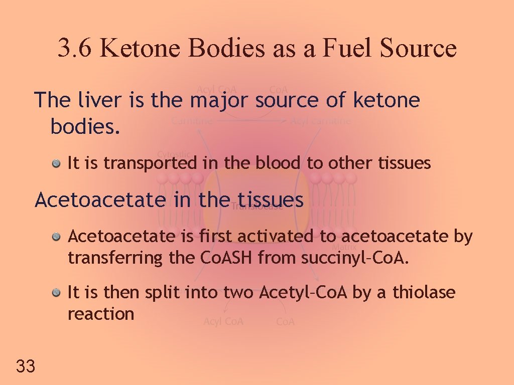 3. 6 Ketone Bodies as a Fuel Source The liver is the major source